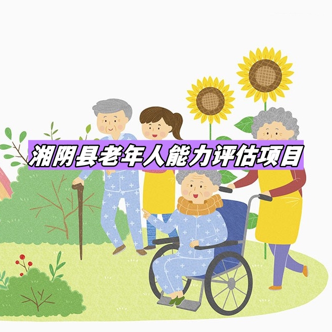 湘陰縣老年人能力評估項目